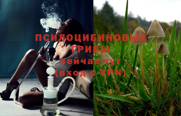 a pvp Володарск