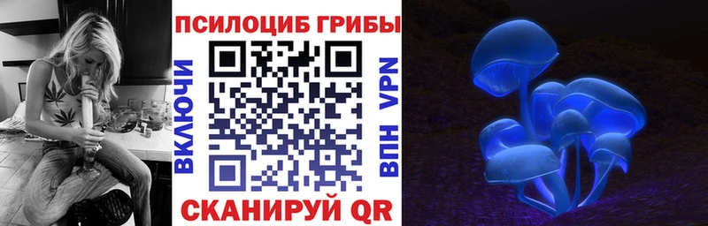 купить наркоту  мега как войти  Псилоцибиновые грибы Cubensis  Дзержинск 